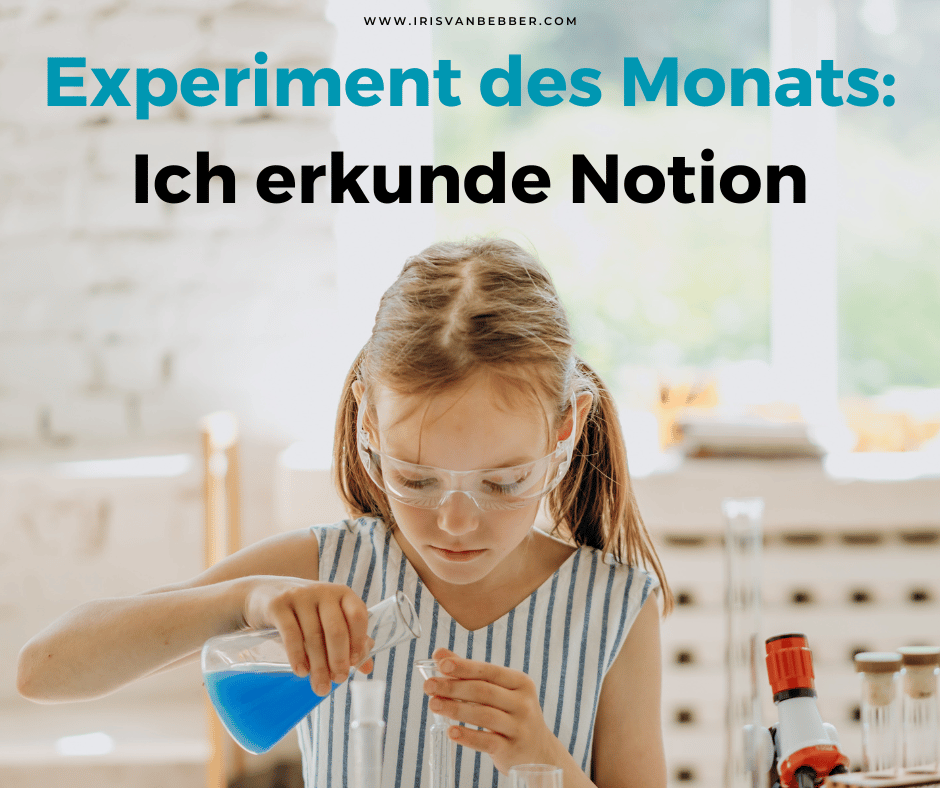 Du betrachtest gerade Experiment des Monats im Februar 2025: Ich erkunde Notion